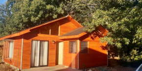 Casa camino Caburgua